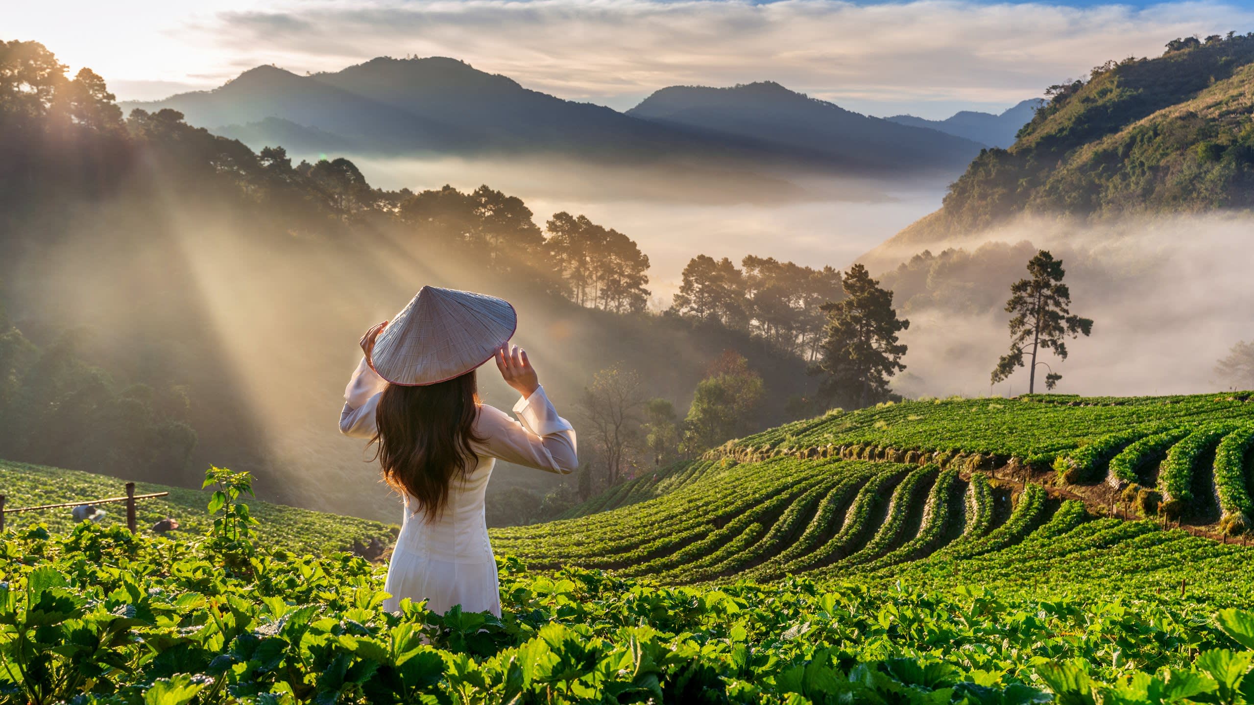 Vietnam