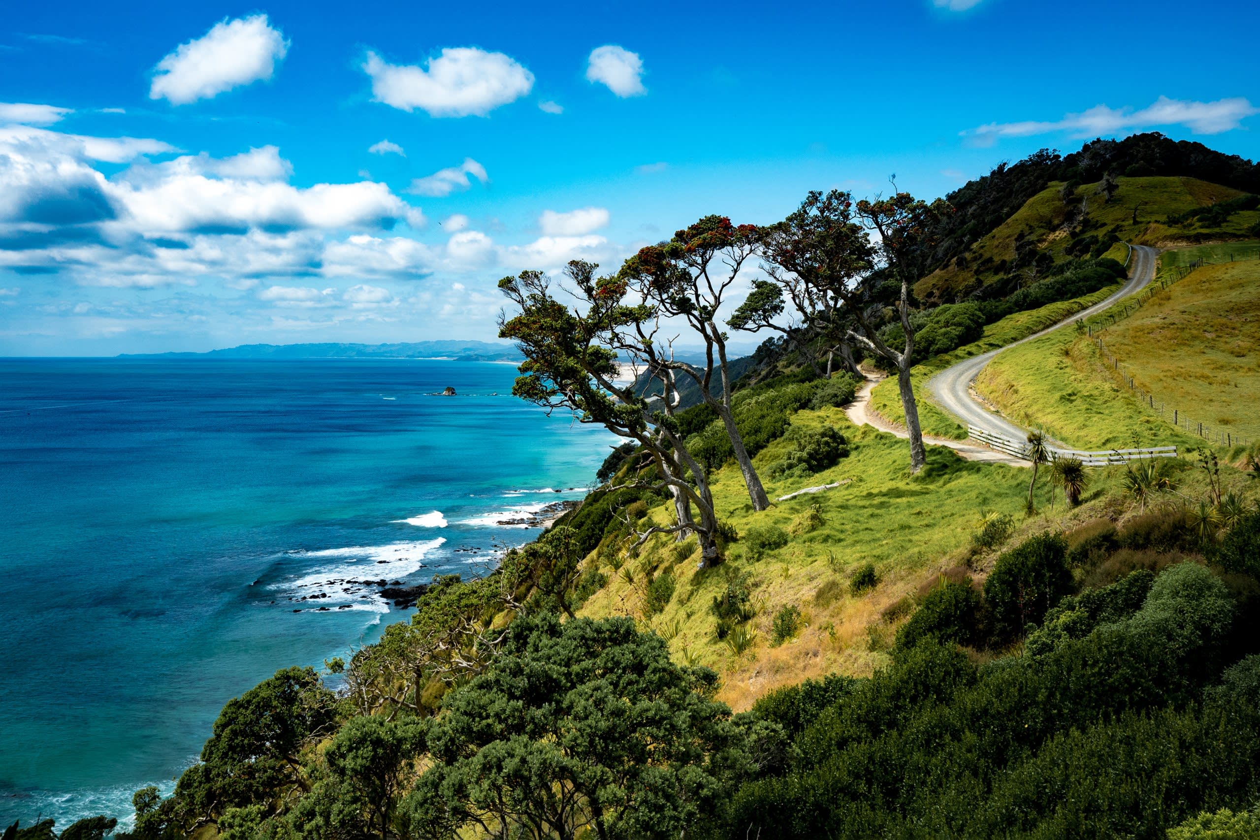 New Zealand