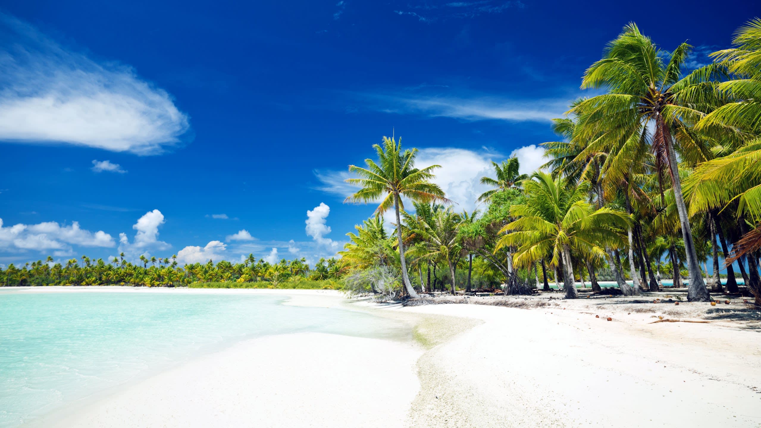Where Palm Trees Outnumber People 