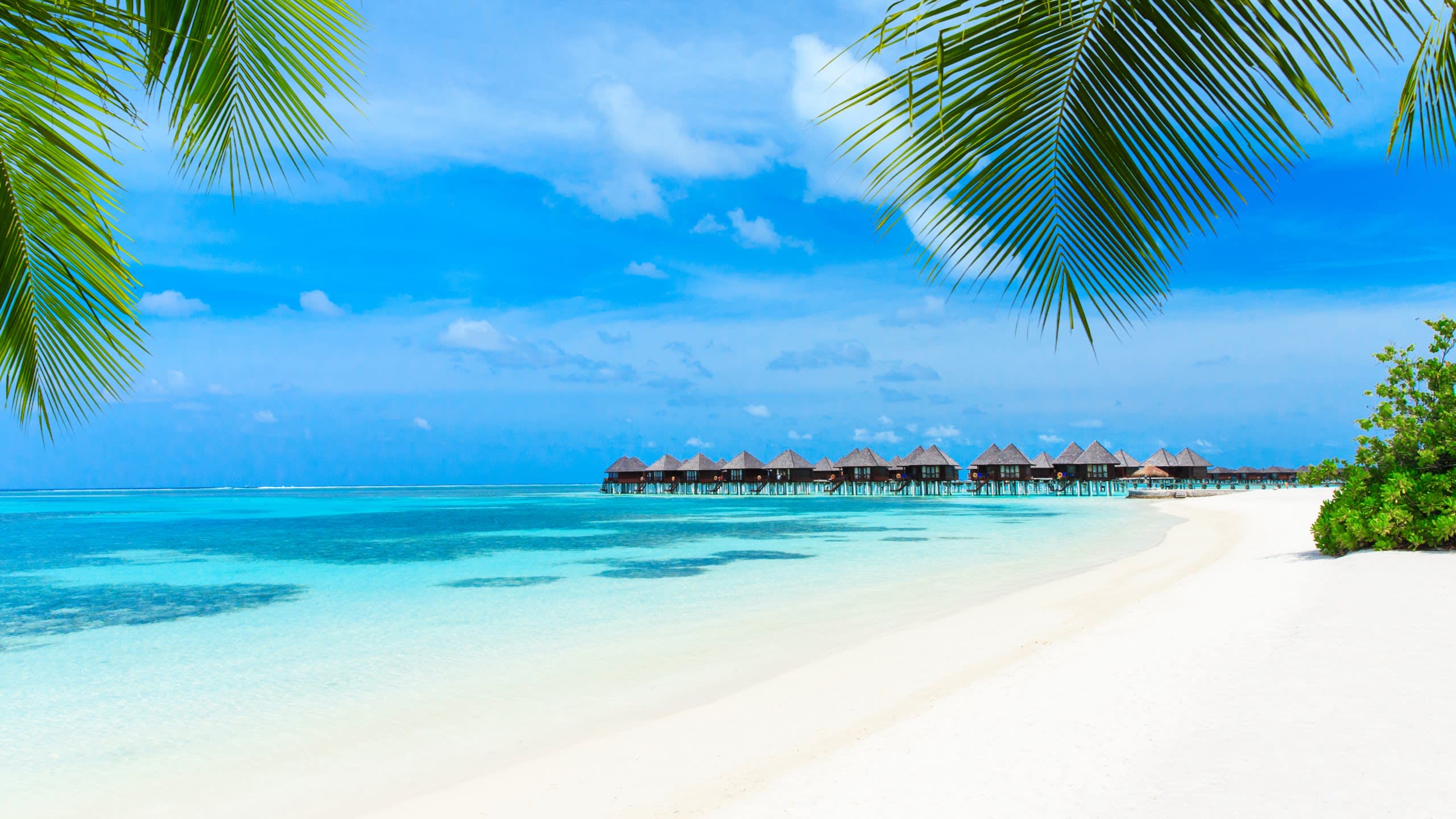 The Maldives