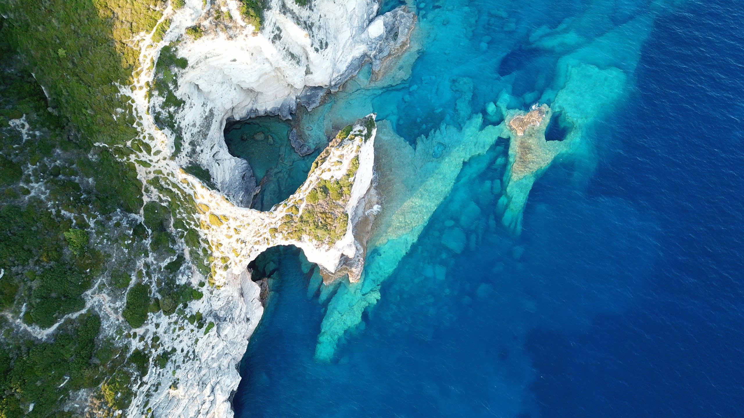 Antipaxos