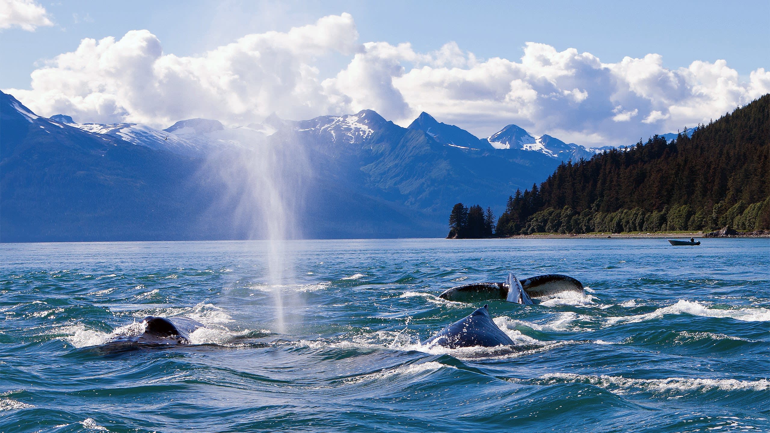 Alaska