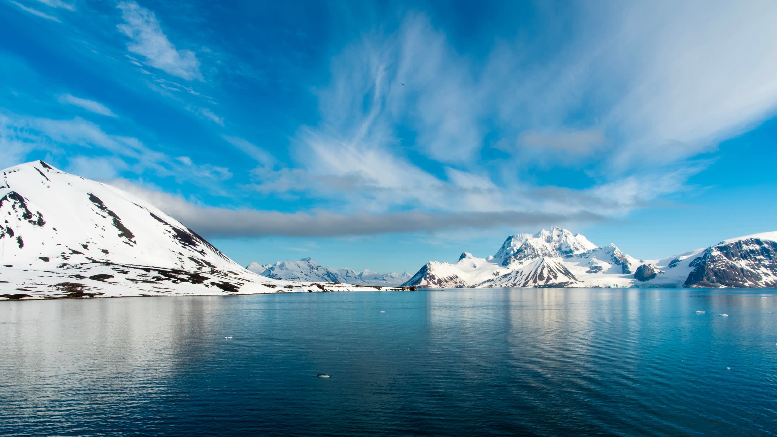 Adventures In The Arctic