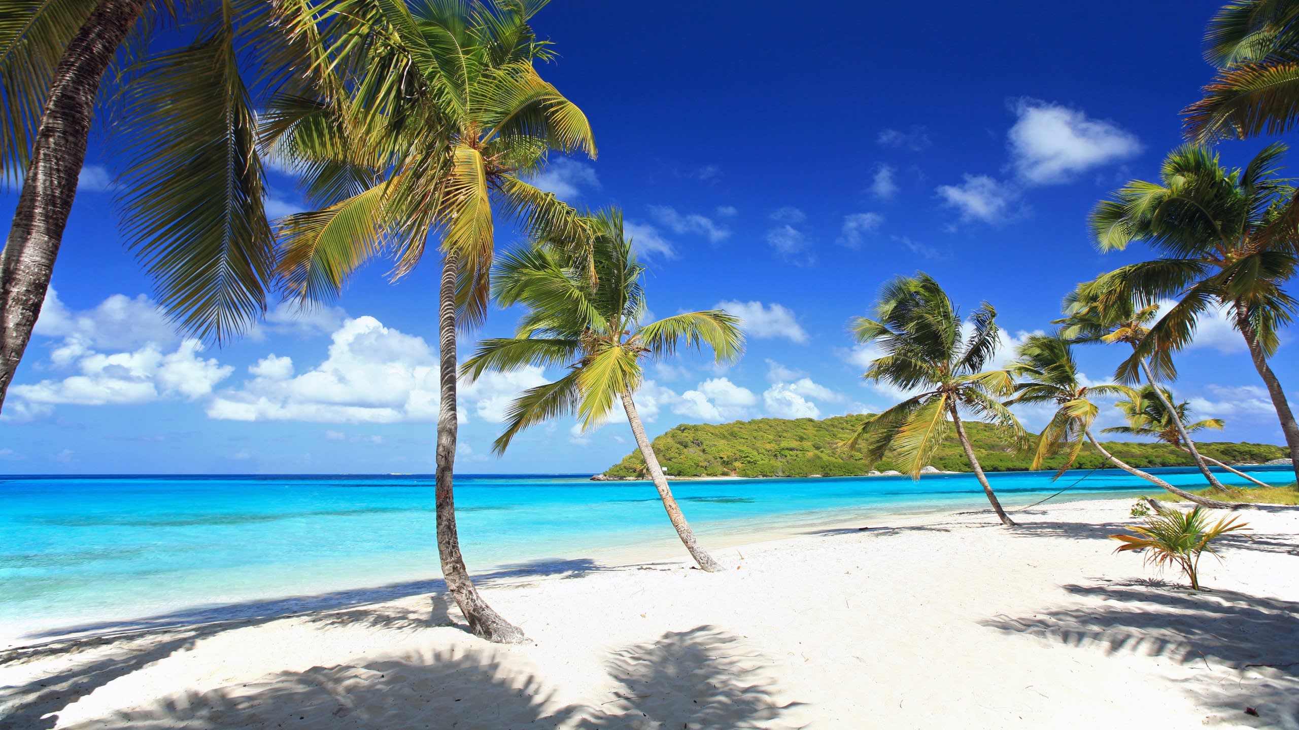 Banish the Winter Blues