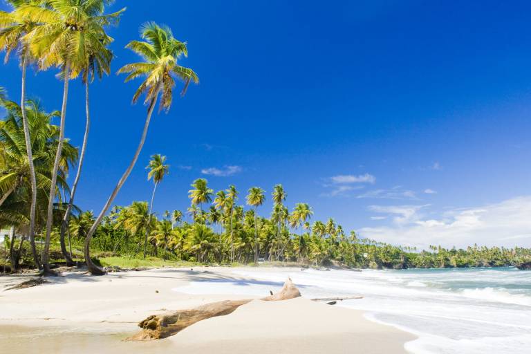 7,000 islands. Zero stress