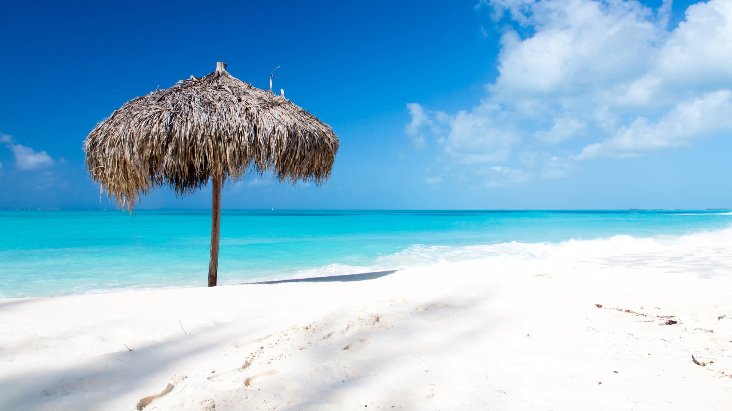Caribbean
