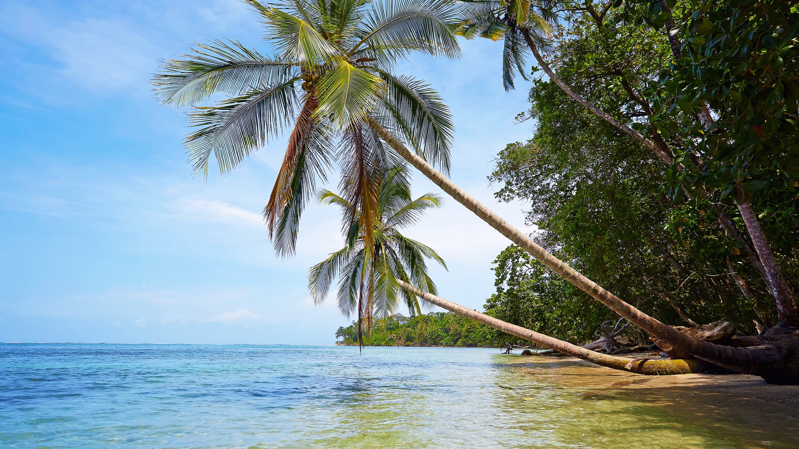 Wealth of Culture. Beaches of Gold.