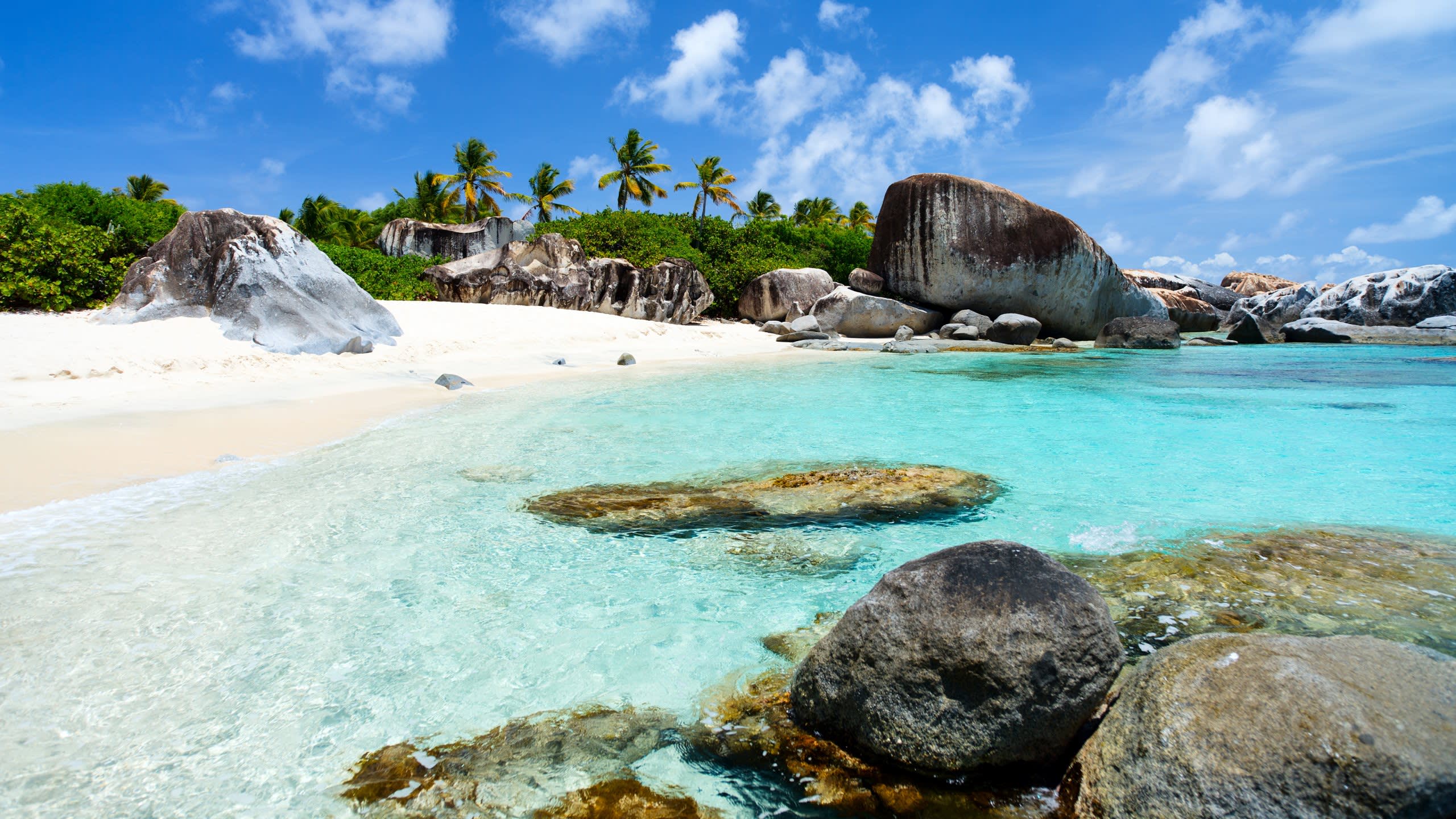 Home to Paradise