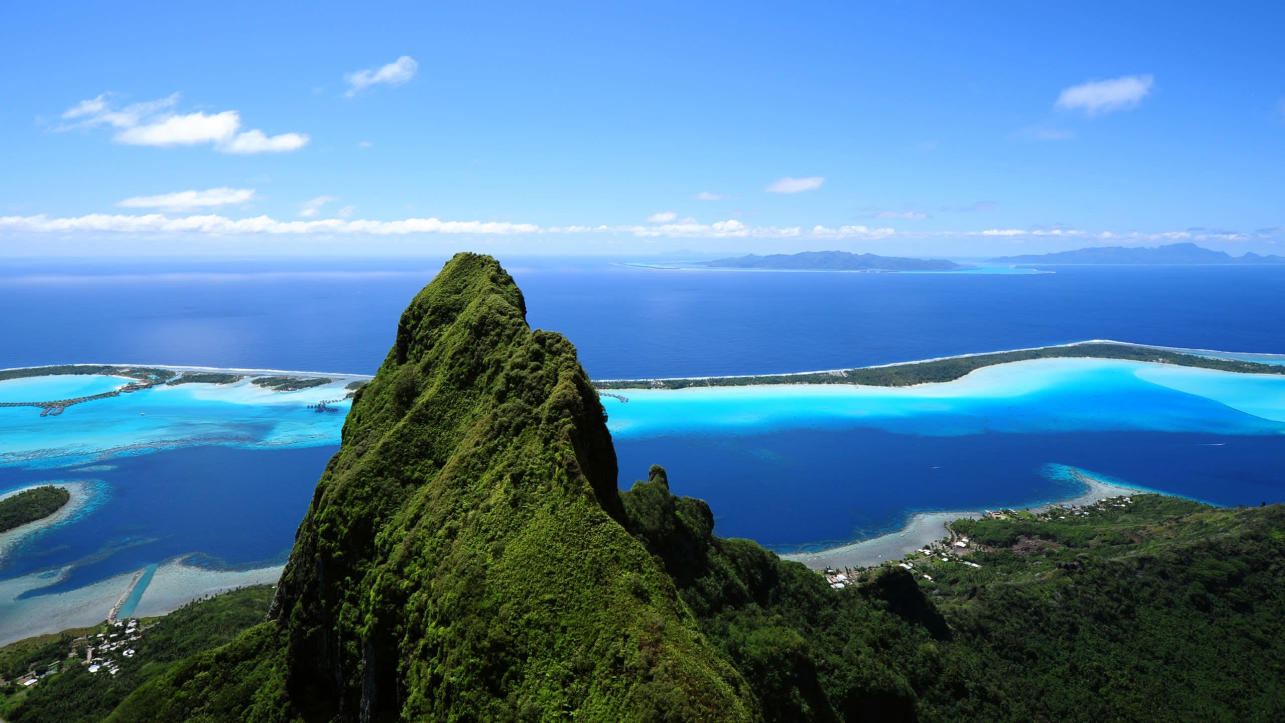 Voyage of a lifetime